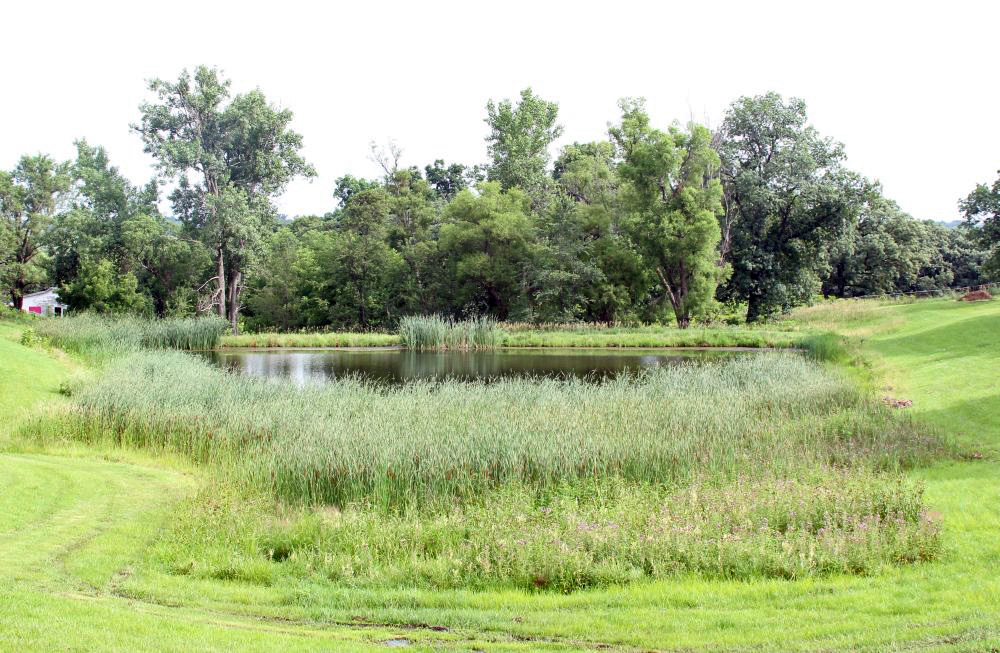 Boxer Rocky Marciano crash site location